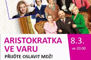 ARISTOKRATKA VE VARU