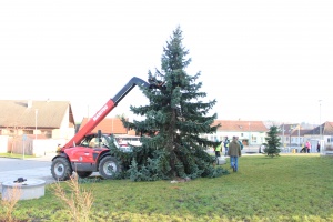 Zpívání u vánočního stromu 2019