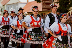 fotky s duší - svatební a portrétní fotograf - aloiské hody otnice (116 of 696)