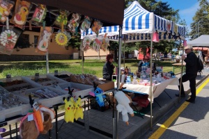 IMG_20250510_114011