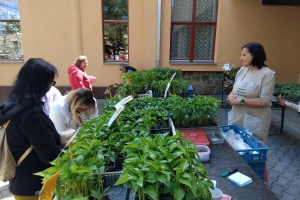 IMG_20250510_115822