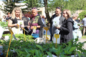 IMG_4647