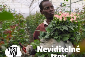 Neviditelne trny 