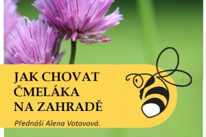 Čelák v knihovně 2023