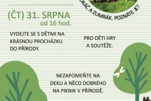 PIKNIK