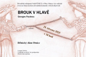 Brouk v hlavě