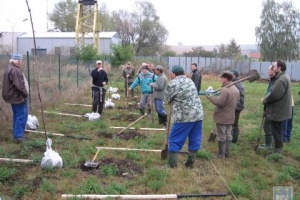 Výsadba stromů 2009